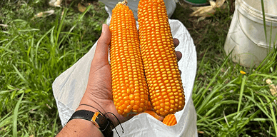 Kolaborasi Pengadaan B2B Memperkuat Distribusi Sektor Riil Indonesia